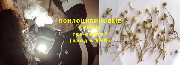 альфа пвп Гусев