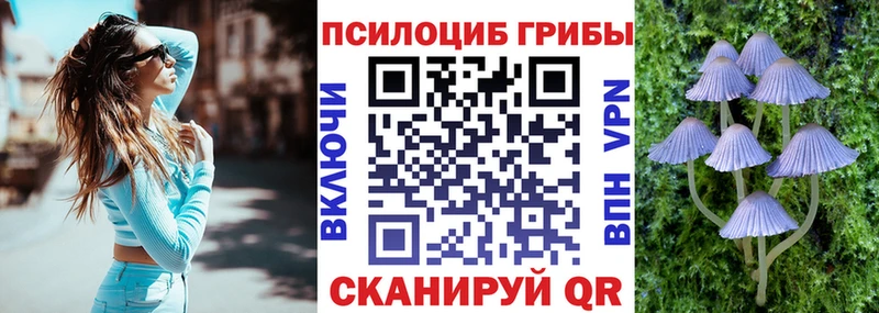 Галлюциногенные грибы Psilocybine cubensis Северобайкальск
